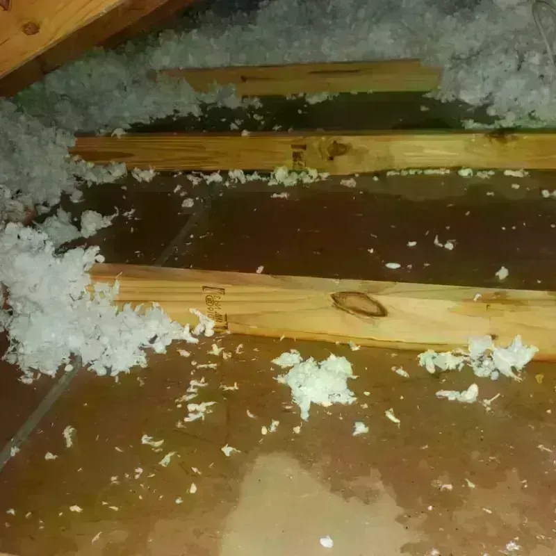 Attic Water Damage in Olivet, SD