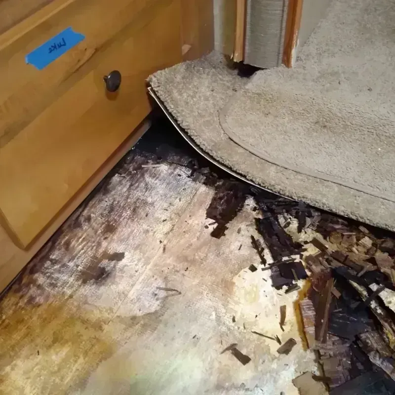 Best Wood Floor Water Damage Service in Olivet, SD